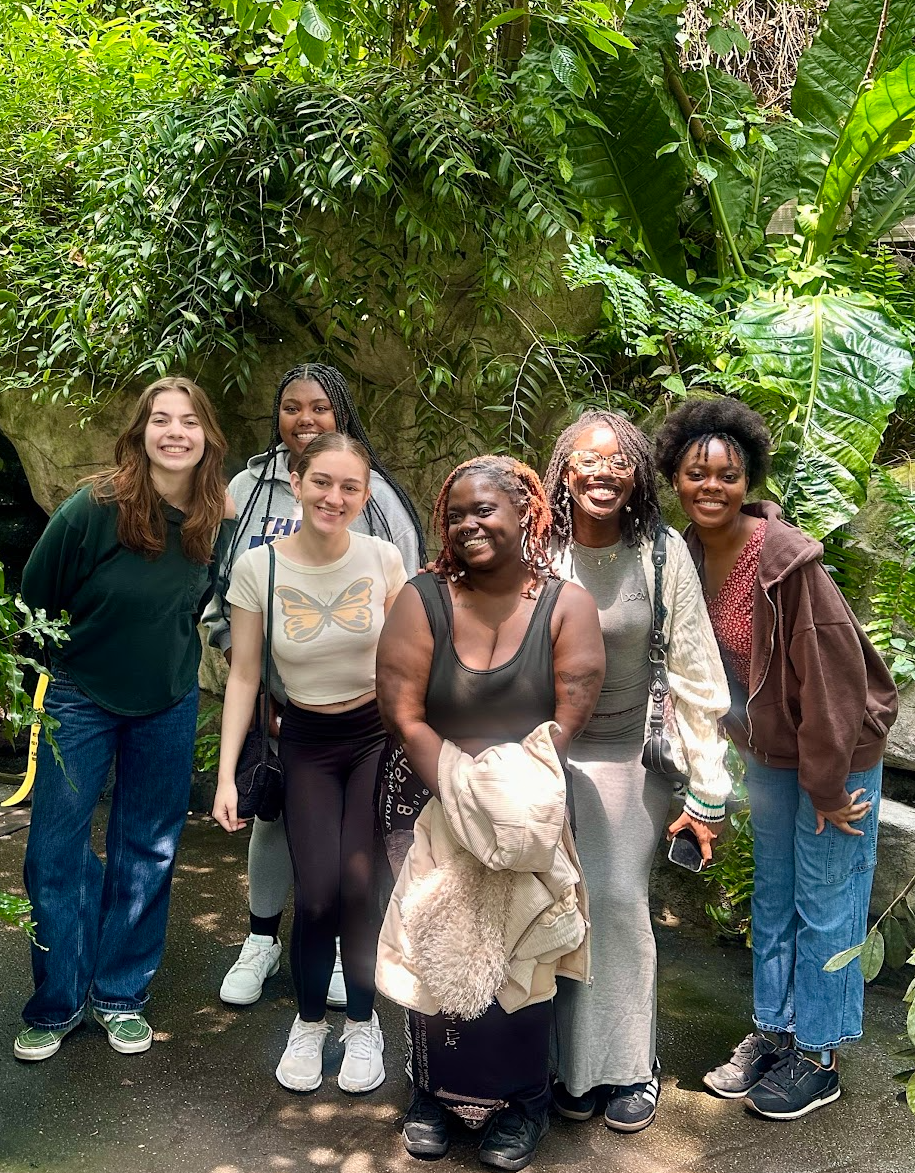 Screenshot 2026-02-15 203548